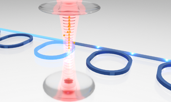 Purdue Physics: Hung Lab: Ultracold quantum gas and quantum optics