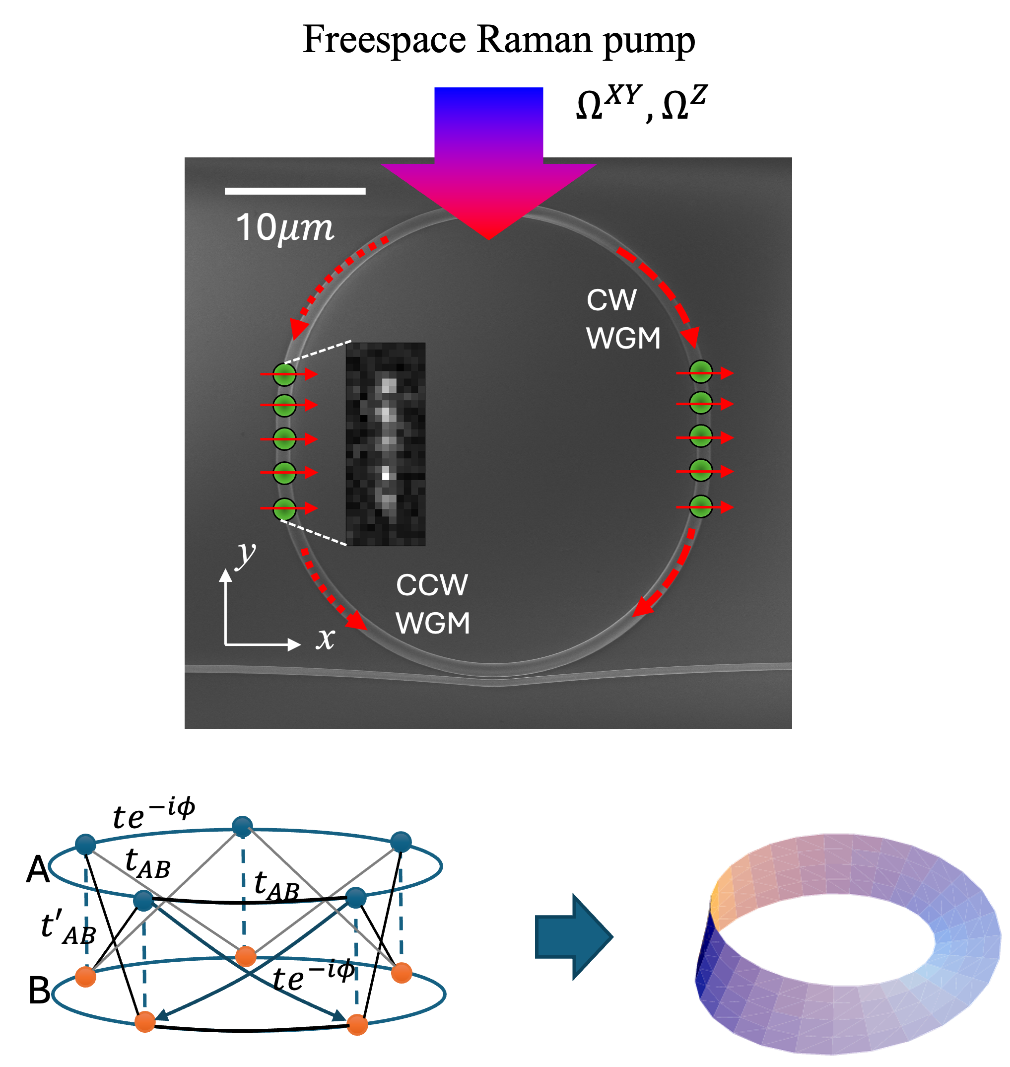 Laser cooling on a microring